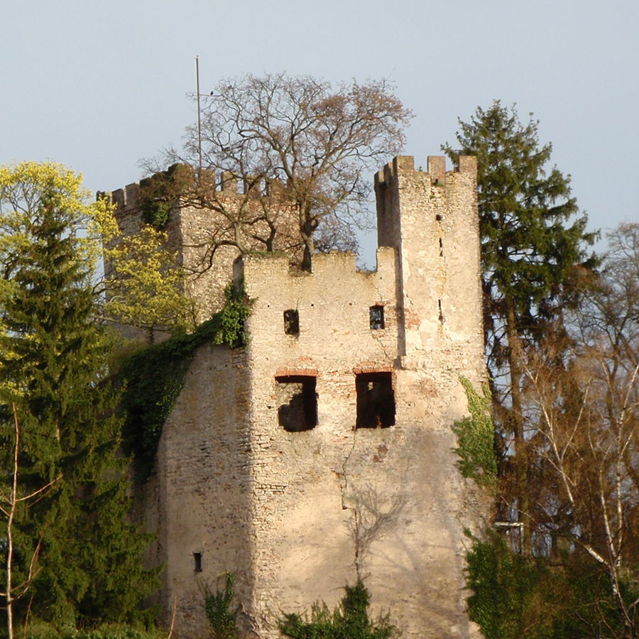 Burg Obergrombach